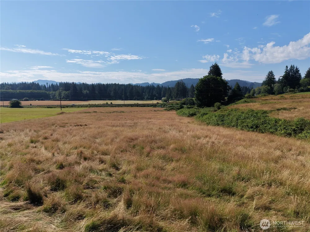 134 Dancing Elk Road Beaver, WA 98305