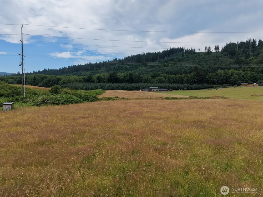 134 Dancing Elk Road Beaver, WA 98305