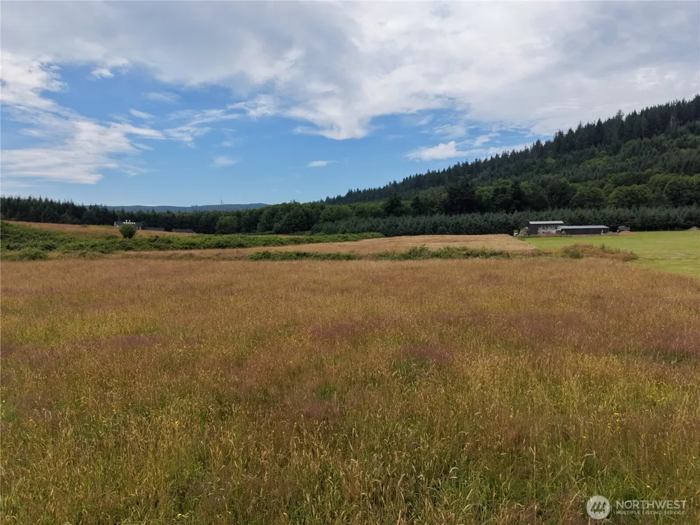 134 Dancing Elk Road Beaver, WA 98305