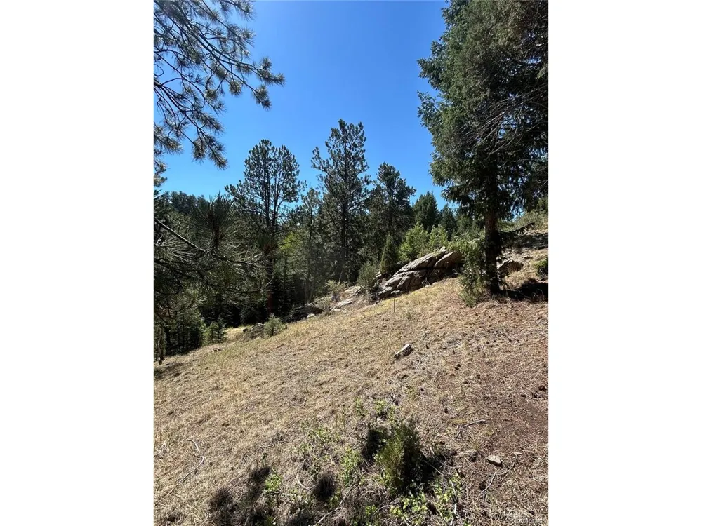 14850 Quandary Peak Road Pine, CO 80470