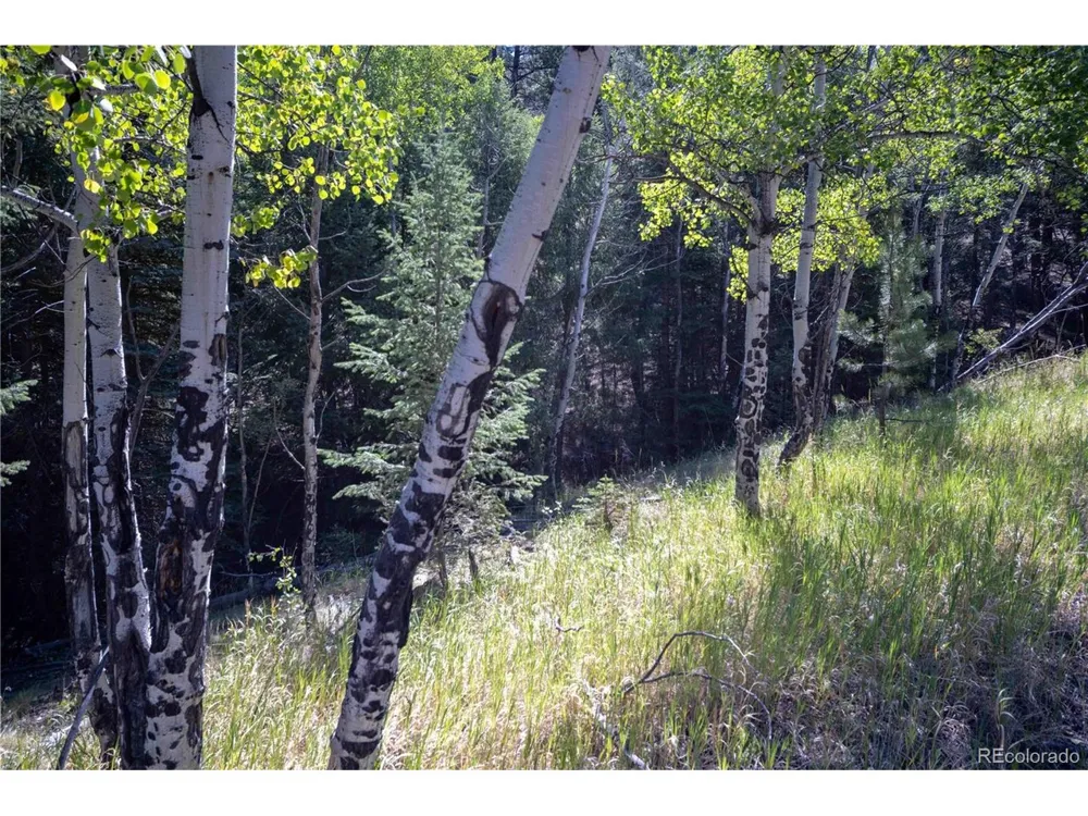 14850 Quandary Peak Road Pine, CO 80470