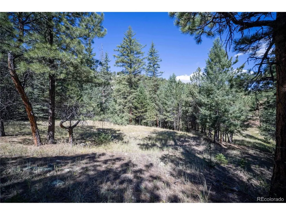 14850 Quandary Peak Road Pine, CO 80470