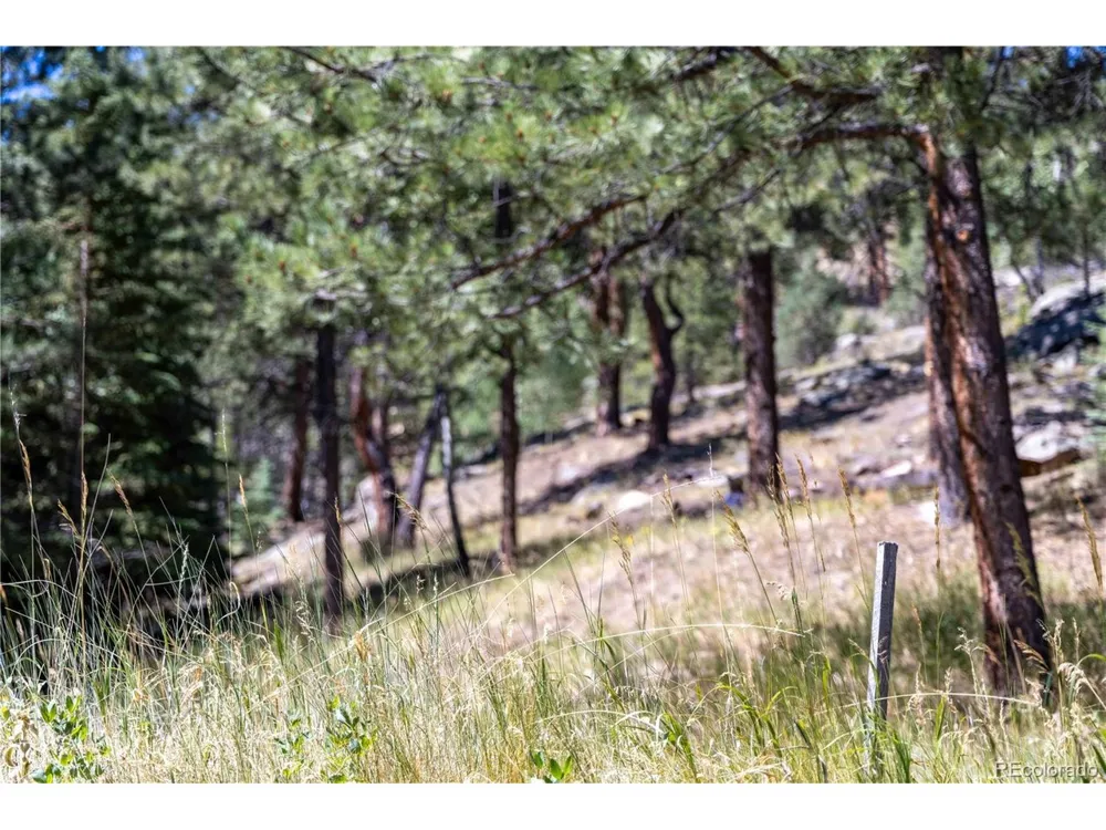 14850 Quandary Peak Road Pine, CO 80470
