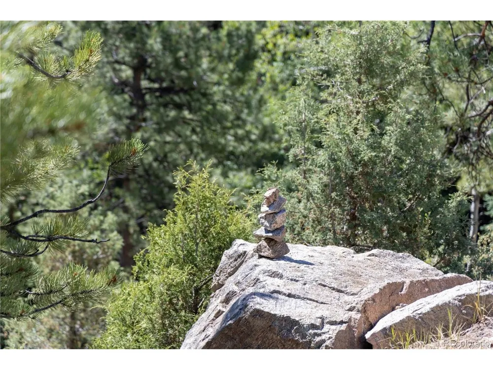 14850 Quandary Peak Road Pine, CO 80470