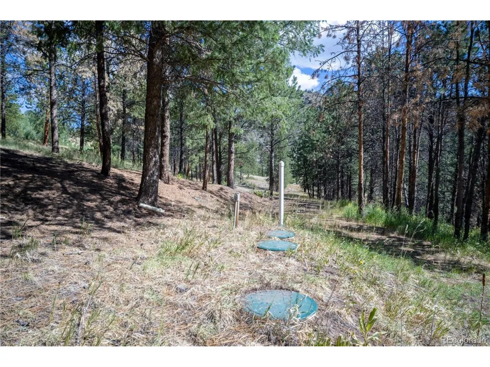 14850 Quandary Peak Road Pine, CO 80470