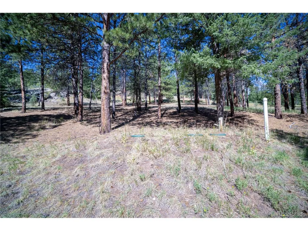 14850 Quandary Peak Road Pine, CO 80470