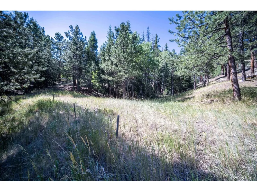 14850 Quandary Peak Road Pine, CO 80470