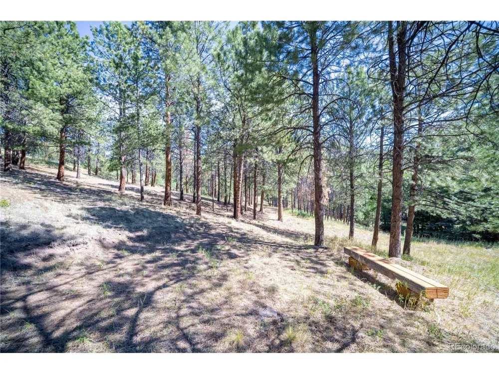 14850 Quandary Peak Road Pine, CO 80470