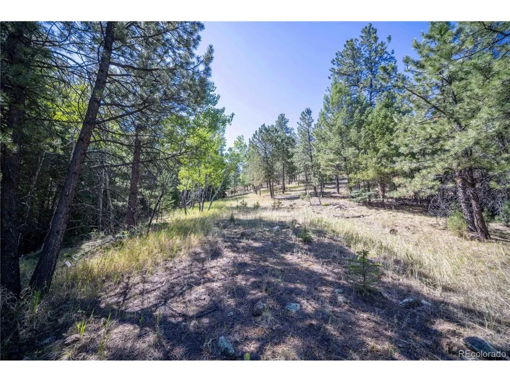 14850 Quandary Peak Road Pine, CO 80470