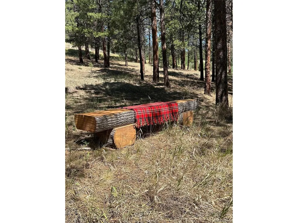 14850 Quandary Peak Road Pine, CO 80470