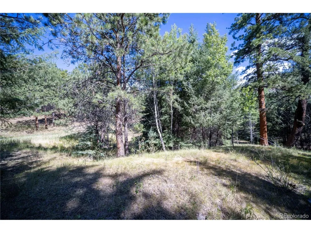 14850 Quandary Peak Road Pine, CO 80470
