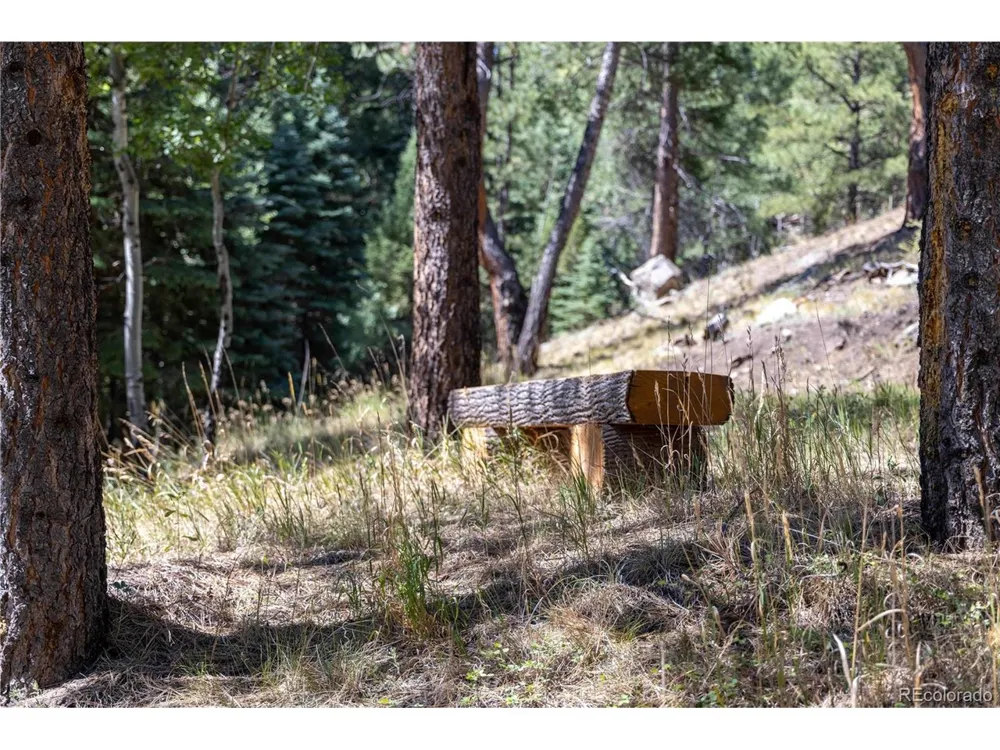 14850 Quandary Peak Road Pine, CO 80470