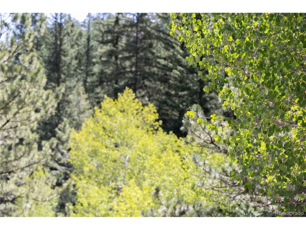 14850 Quandary Peak Road Pine, CO 80470