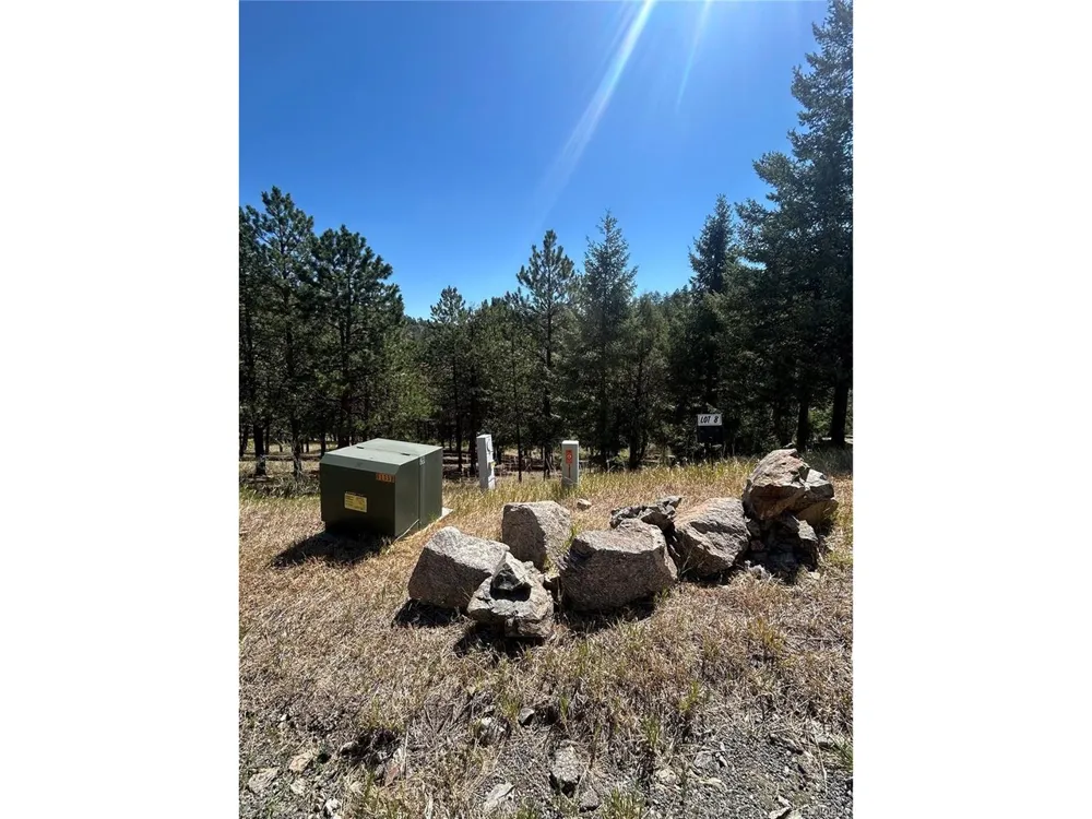 14850 Quandary Peak Road Pine, CO 80470