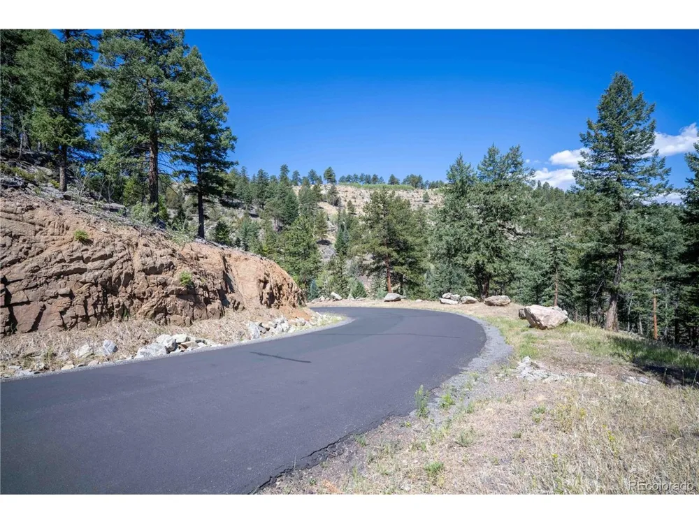 14850 Quandary Peak Road Pine, CO 80470