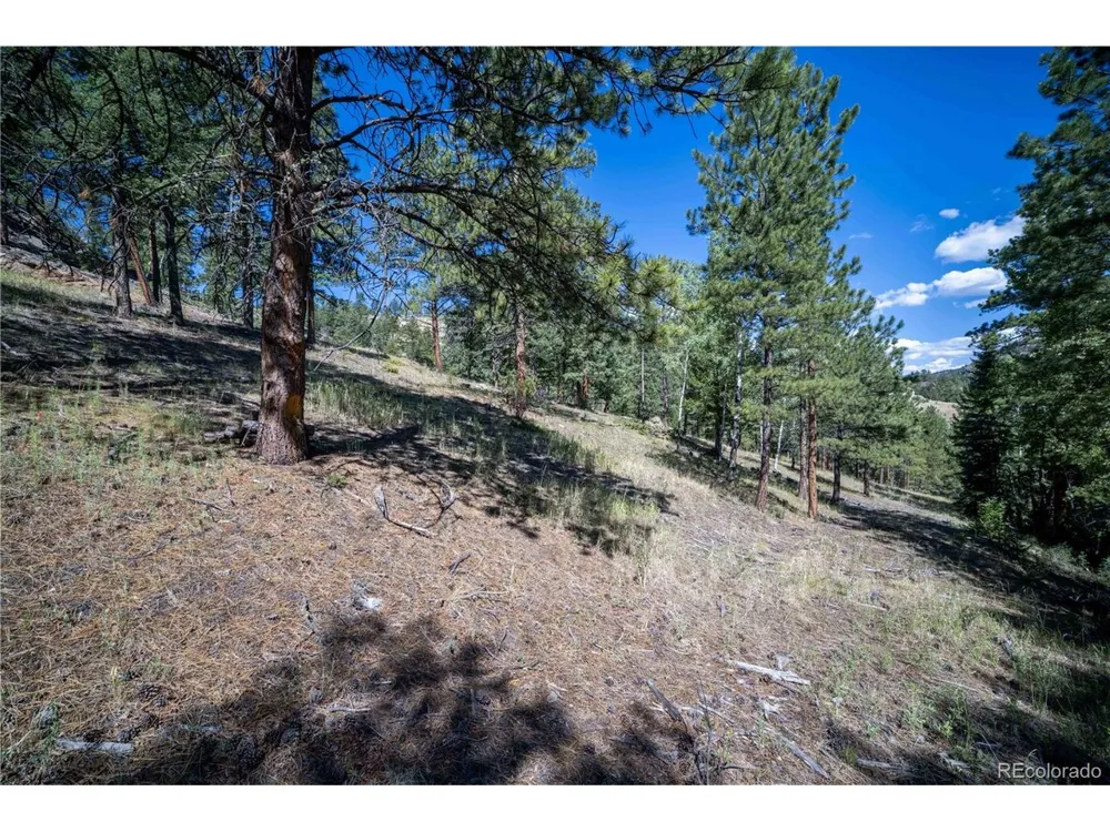 14850 Quandary Peak Road Pine, CO 80470