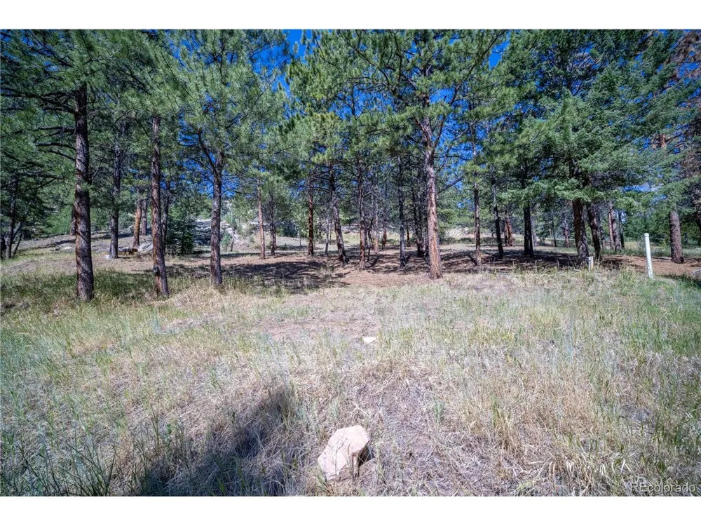 14850 Quandary Peak Road Pine, CO 80470