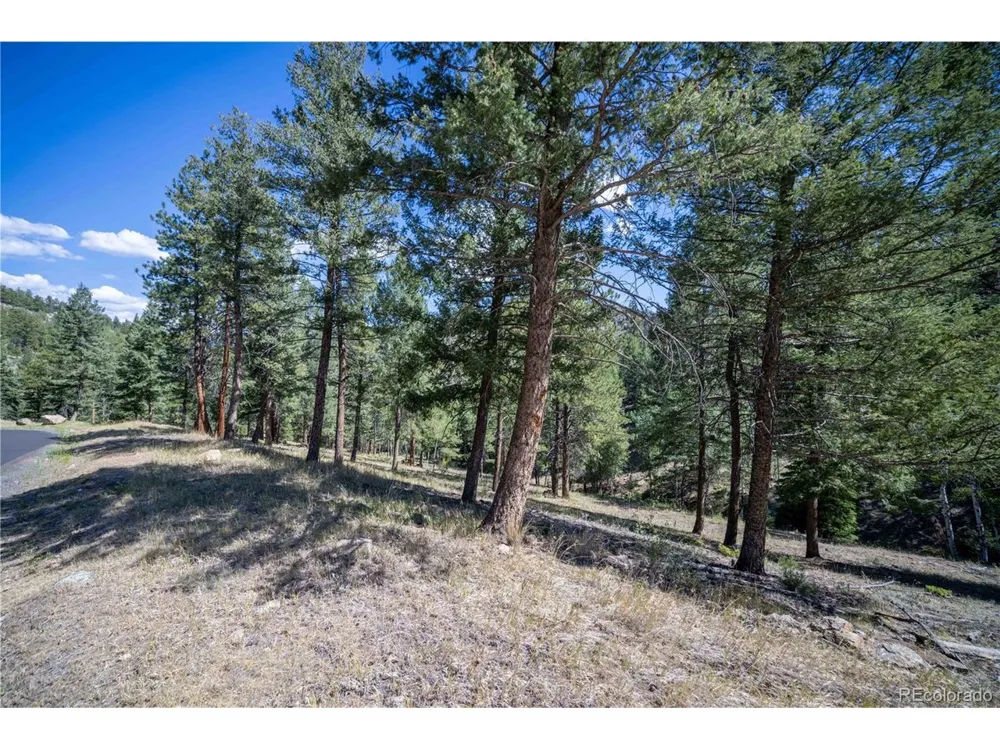 14850 Quandary Peak Road Pine, CO 80470