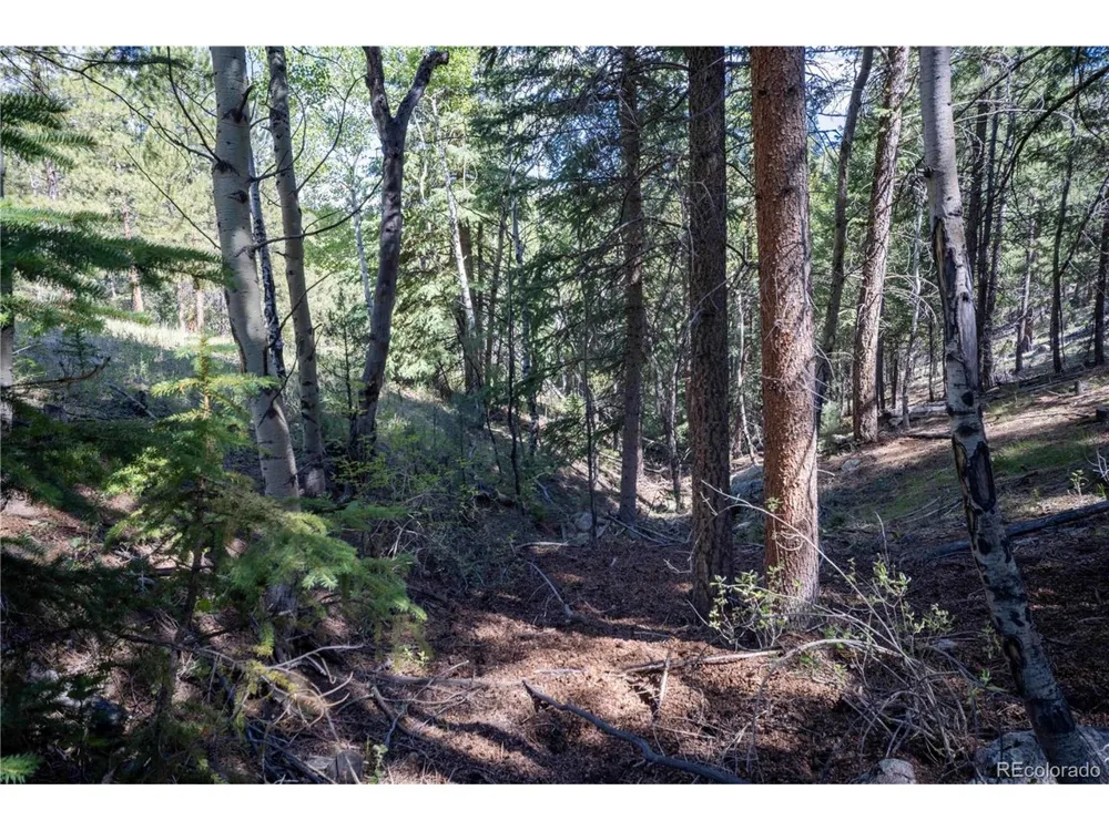14850 Quandary Peak Road Pine, CO 80470