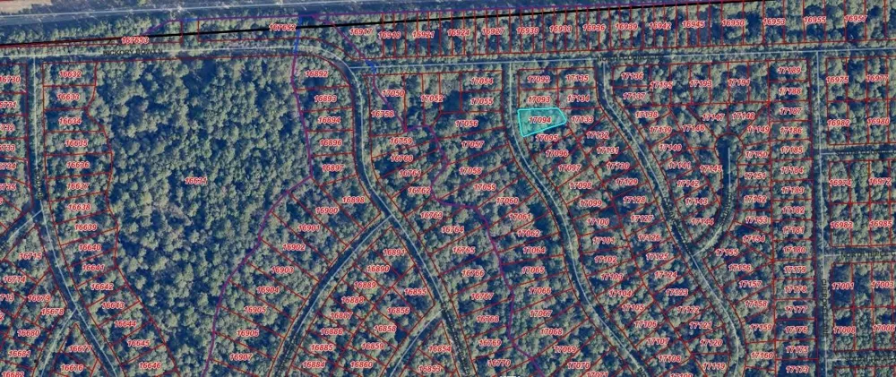 Indian Trail Drive Hempstead, TX 77445