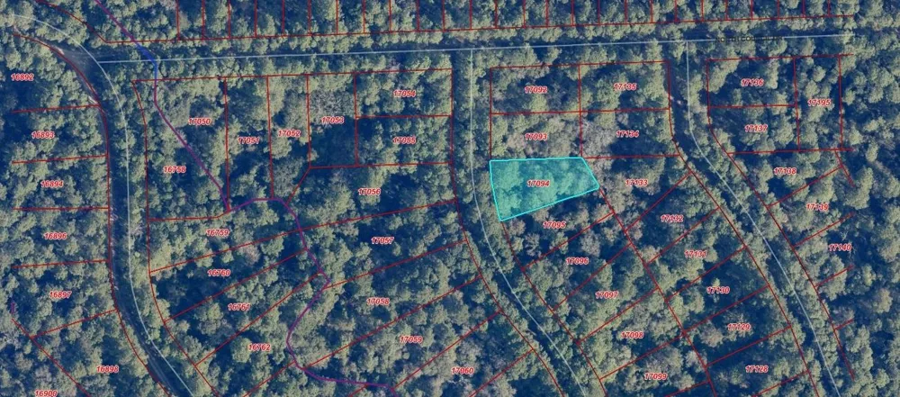Indian Trail Drive Hempstead, TX 77445