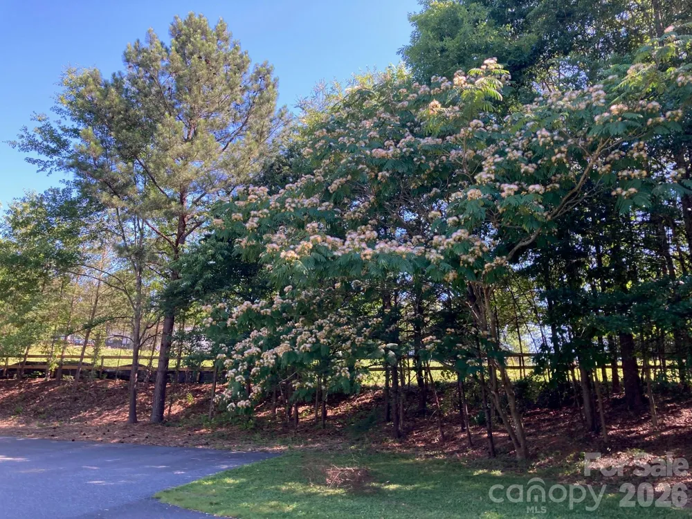 1095 E Prince Road Landrum, SC 29356