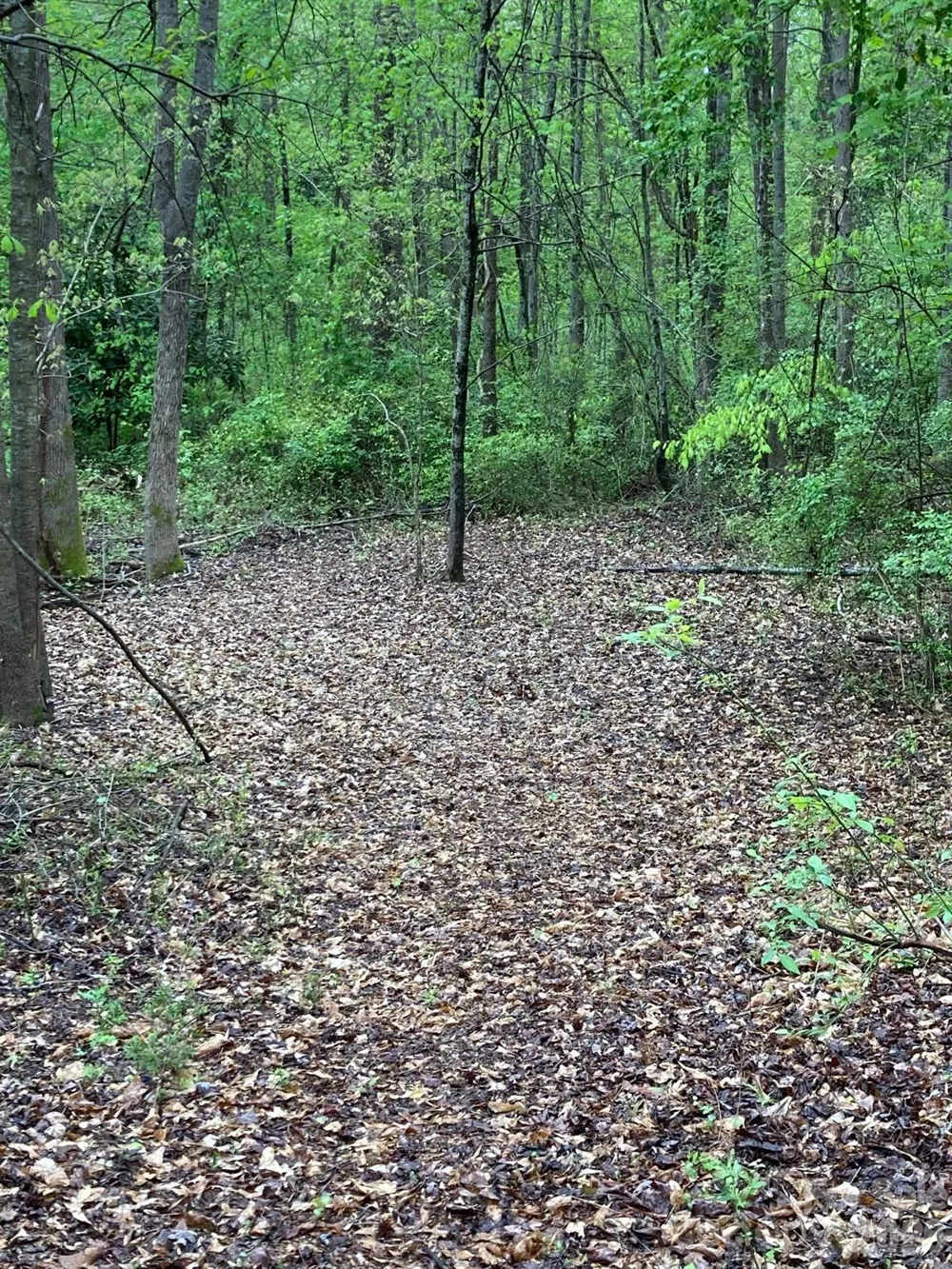 1095 E Prince Road Landrum, SC 29356