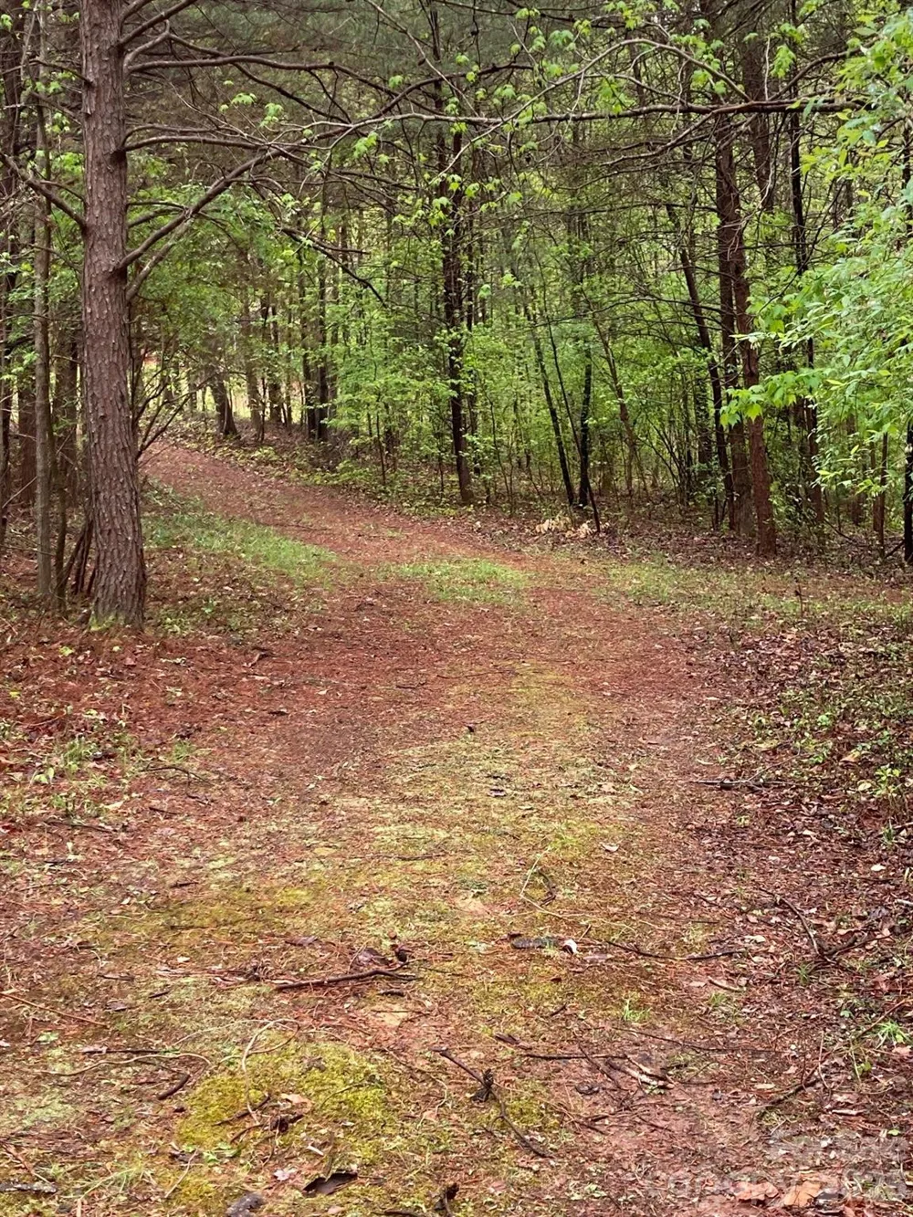 1095 E Prince Road Landrum, SC 29356