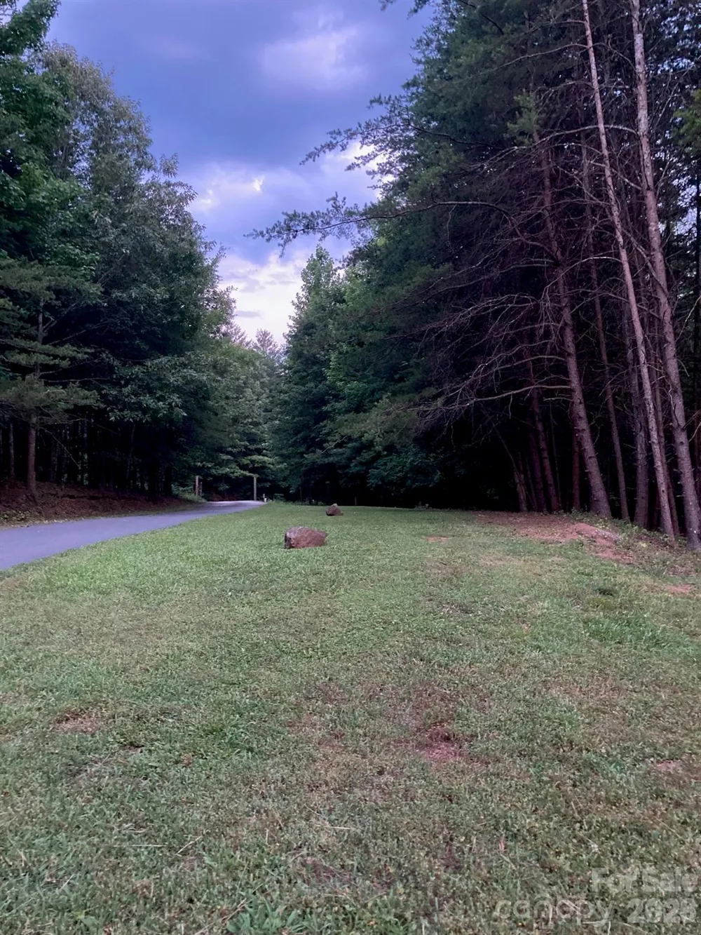 1095 E Prince Road Landrum, SC 29356