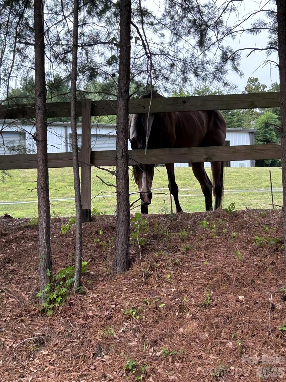 1095 E Prince Road Landrum, SC 29356
