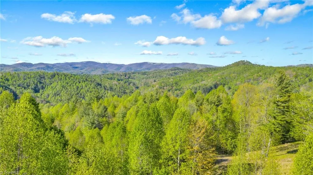 5939 Big Laurel Road Creston, NC 28615