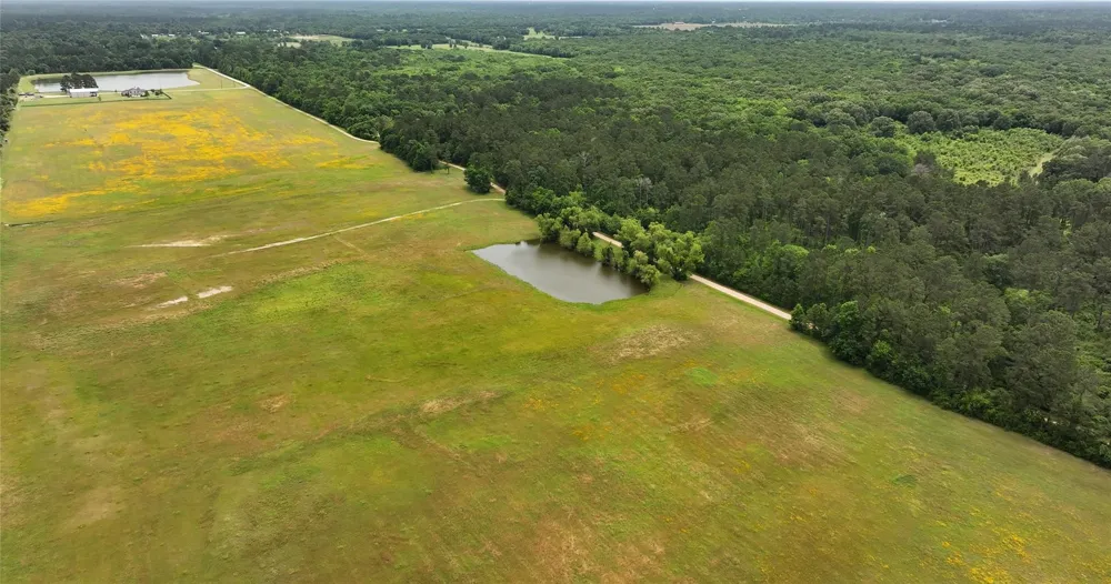 2835 Stapleton Magnolia, TX 77354