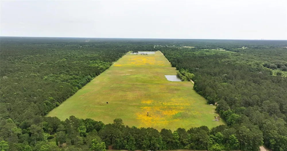 2835 Stapleton Magnolia, TX 77354