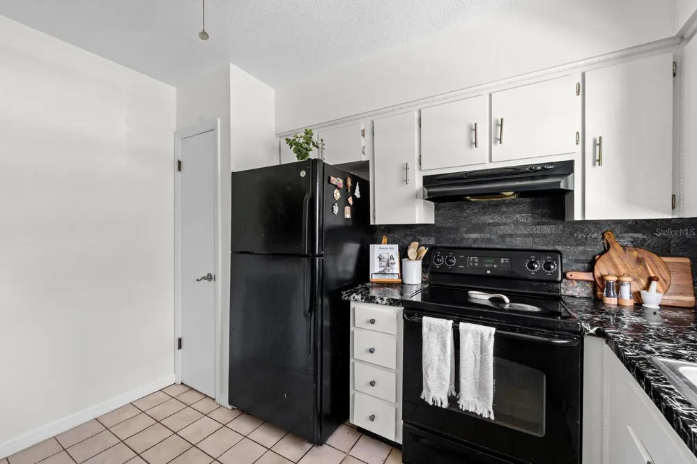 5220 BLANE DRIVE Temple Terrace, FL 33617