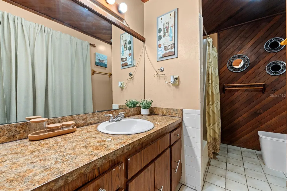 5220 BLANE DRIVE Temple Terrace, FL 33617