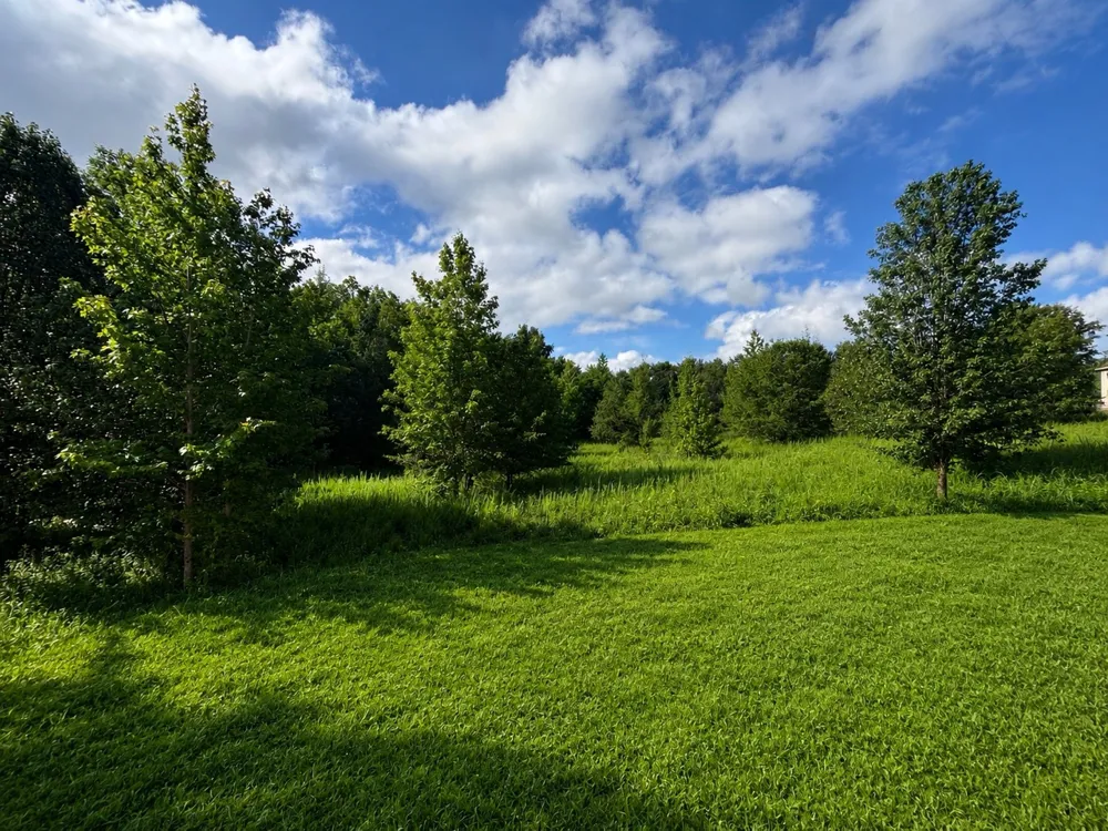 1273 Vickie Ln Portland, TN 37148