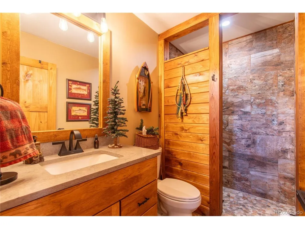 756 Sheep Ridge Road Fairplay, CO 80440