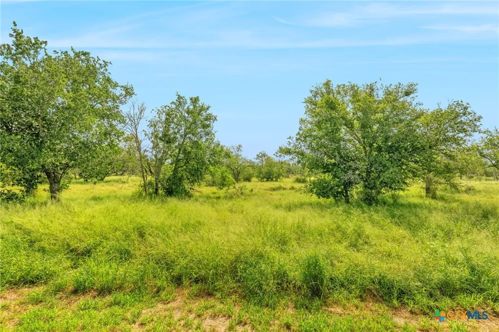 8954 County Road 128 Floresville, TX 78114