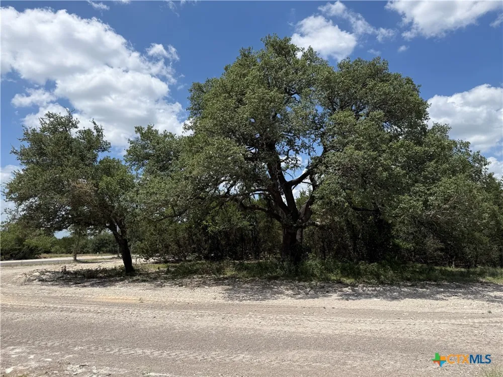 1201 Gannon Trail Salado, TX 76571