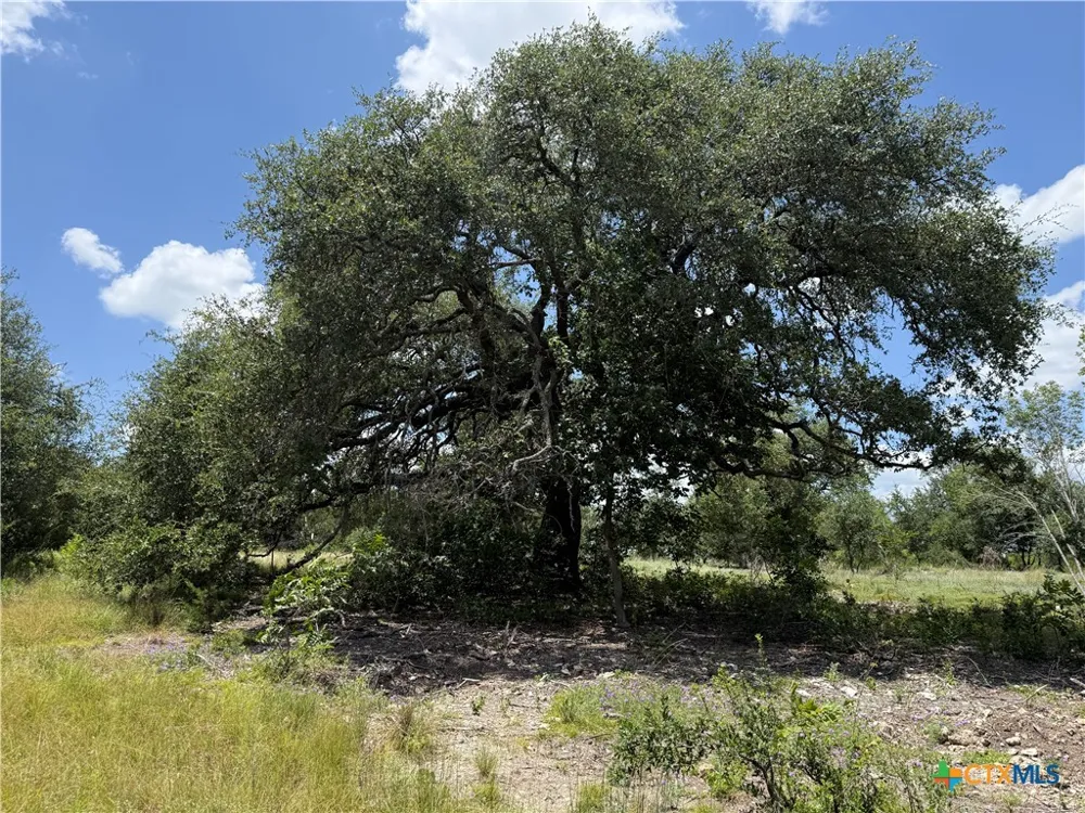 1219 Gannon Trail Salado, TX 76571