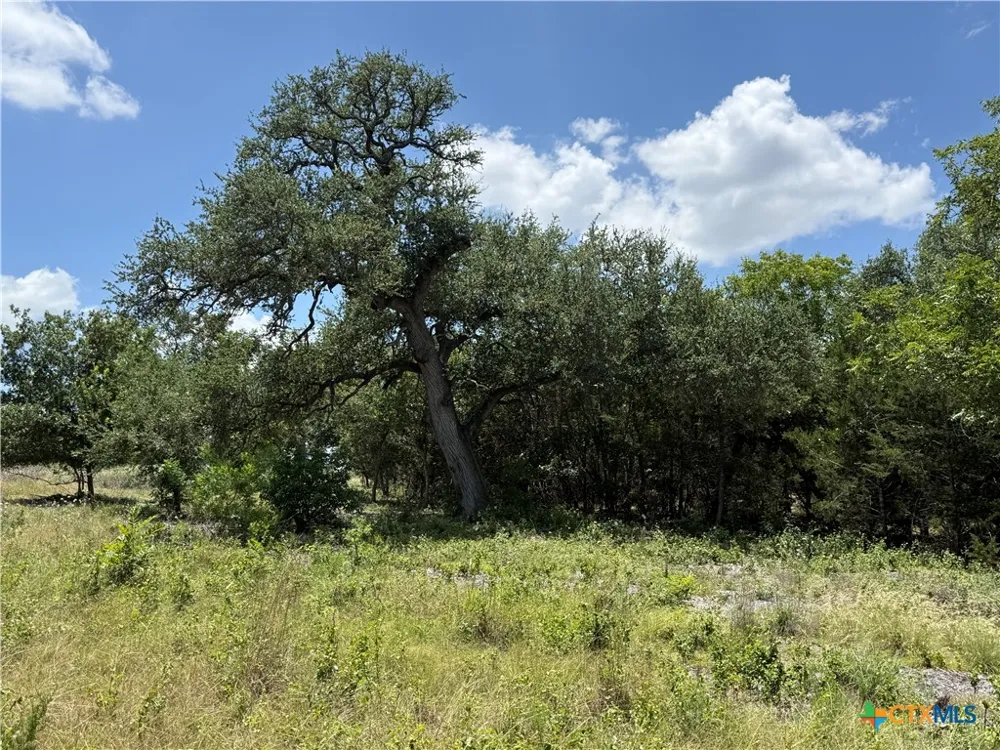 1219 Gannon Trail Salado, TX 76571