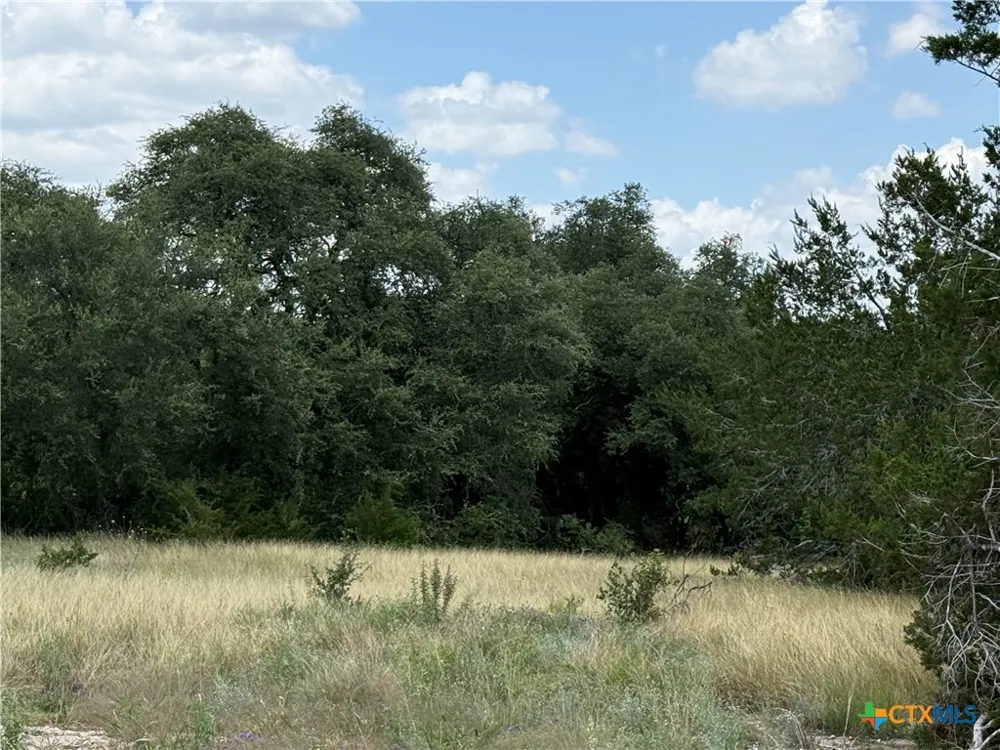 1219 Gannon Trail Salado, TX 76571
