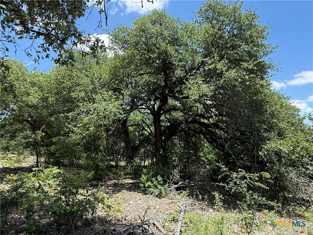 1219 Gannon Trail Salado, TX 76571