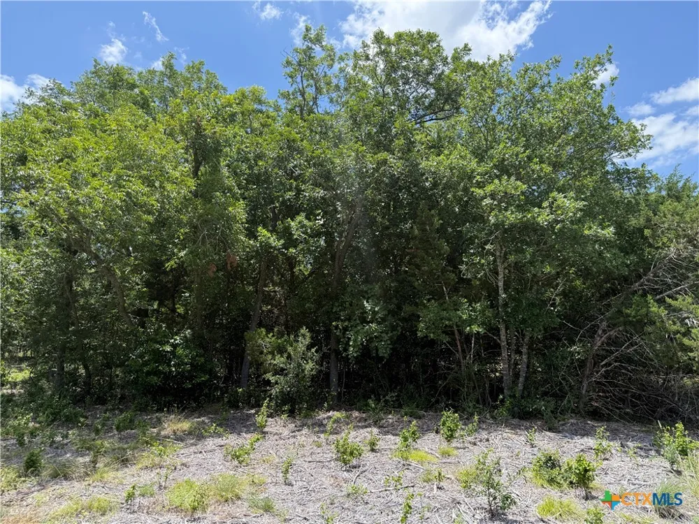 1219 Gannon Trail Salado, TX 76571