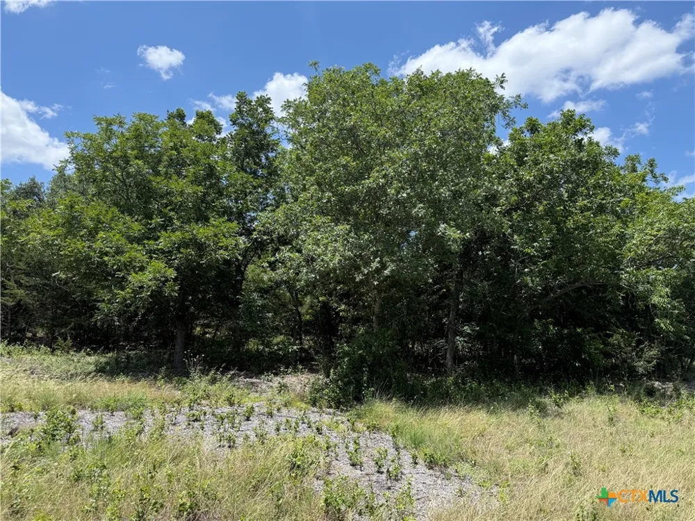 1219 Gannon Trail Salado, TX 76571