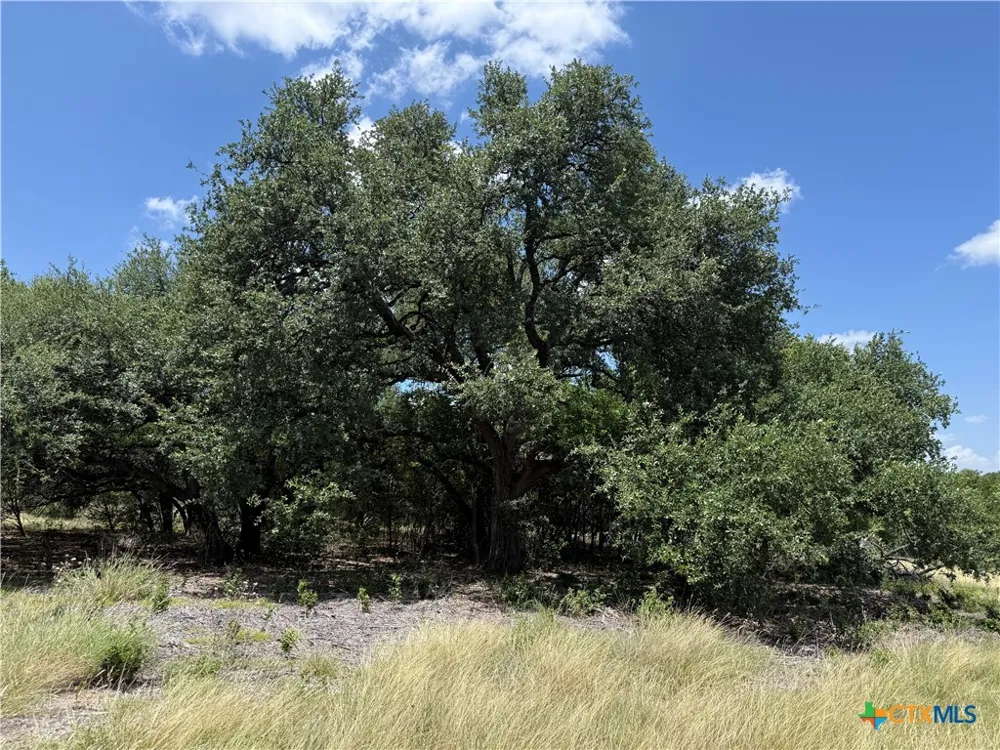 1238 Gannon Trail Salado, TX 76571