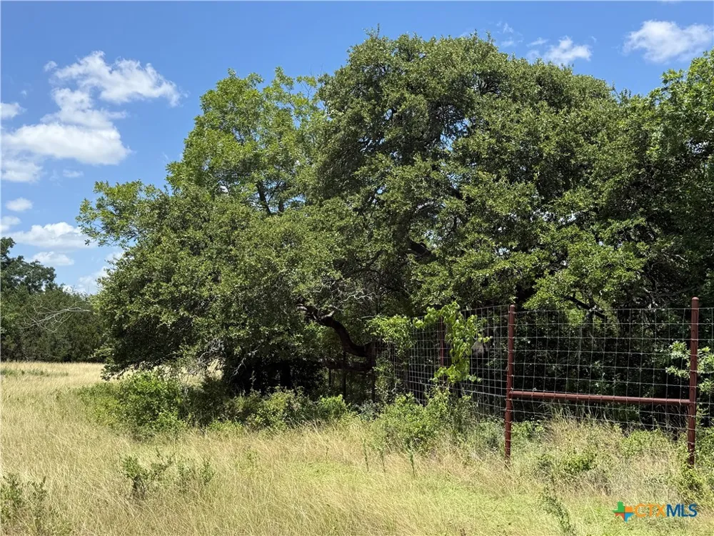 1238 Gannon Trail Salado, TX 76571