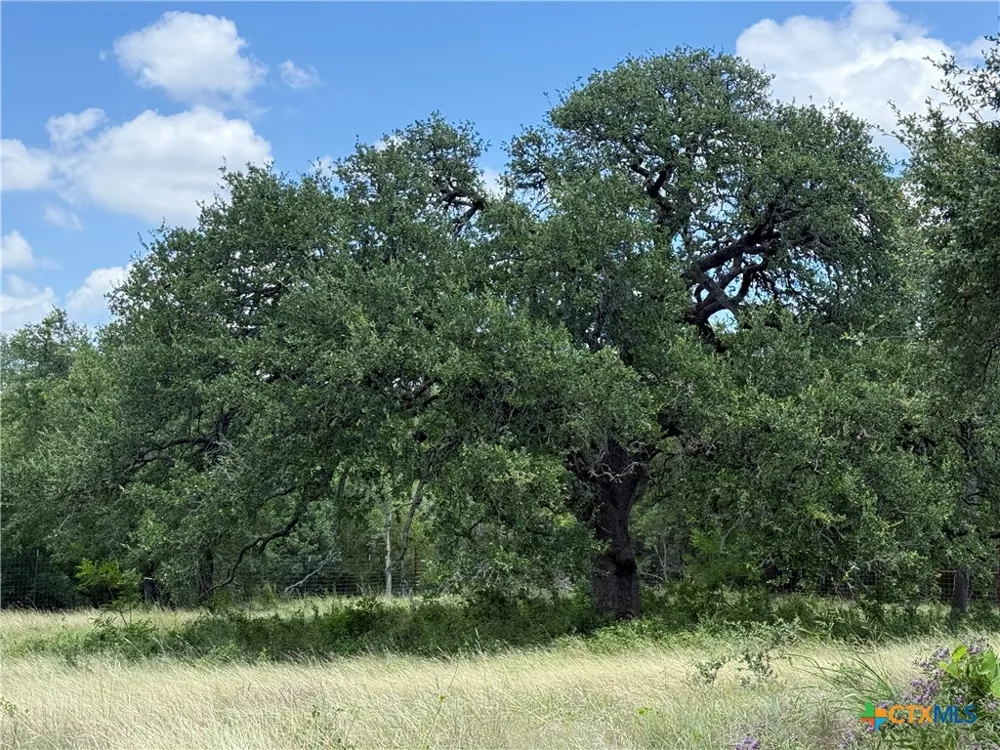 1238 Gannon Trail Salado, TX 76571
