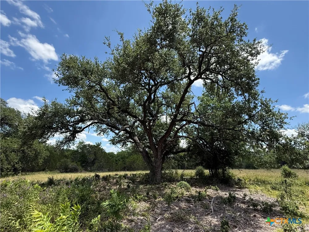 1238 Gannon Trail Salado, TX 76571