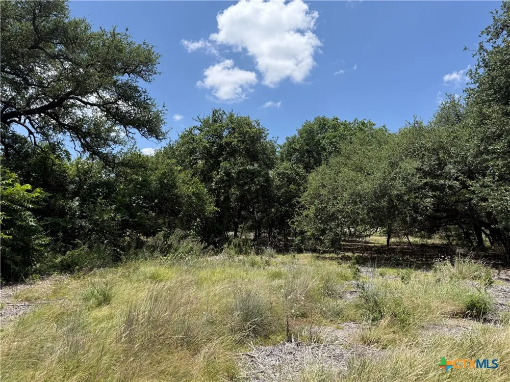 1238 Gannon Trail Salado, TX 76571
